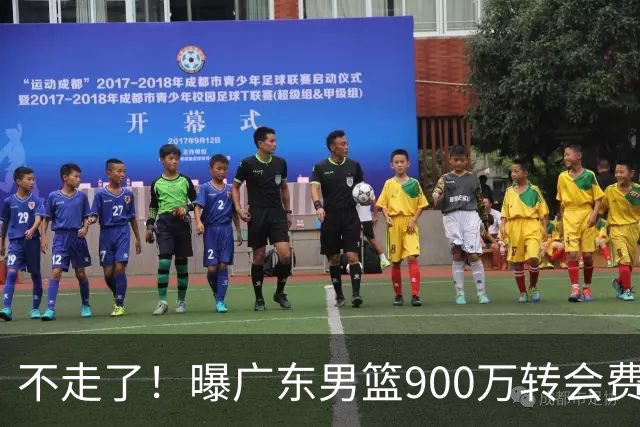 不走了！曝广东男篮900万转会费签下昔日状元内线，杜锋拒绝摆烂